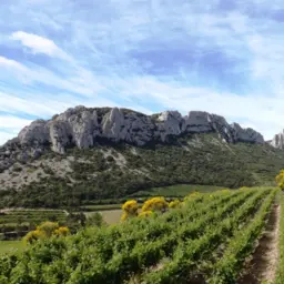 Foire aux Vins_Dégustation gratuite_Château La Croix des Pins