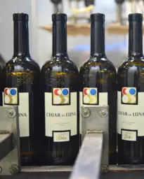 Foire aux Vins_Dégustation gratuite_Cave Emery