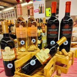 Foire aux Vins - Dégustation gratuite - Maison Gilliard